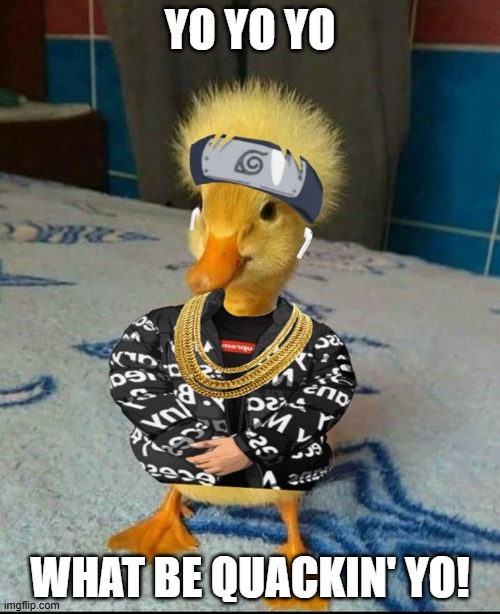 What's Quckin? | YO YO YO; WHAT BE QUACKIN' YO! | image tagged in ducks | made w/ Imgflip meme maker