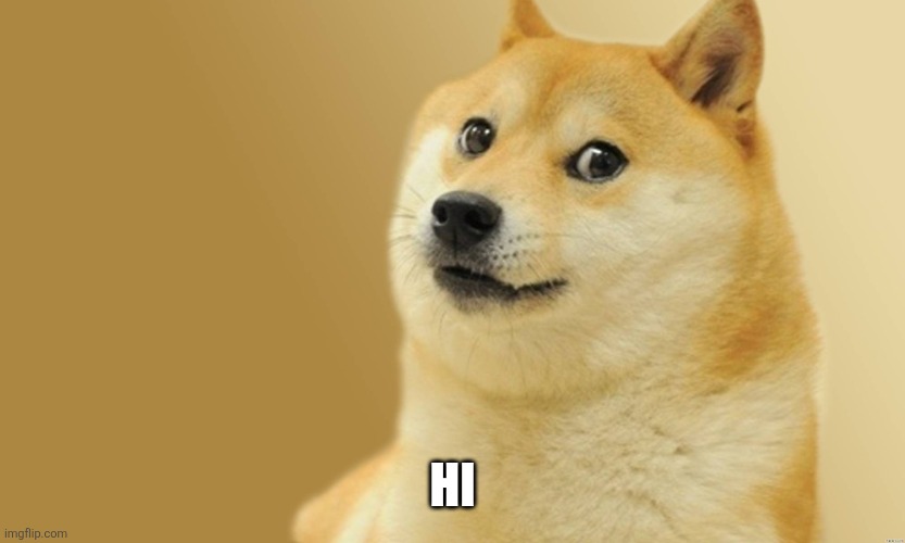 Doge Meme | HI | image tagged in doge meme | made w/ Imgflip meme maker