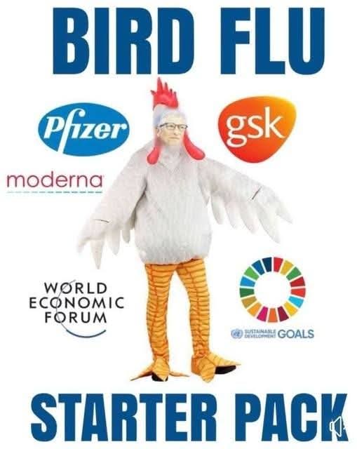 Bird Flu Bill Gates Blank Meme Template