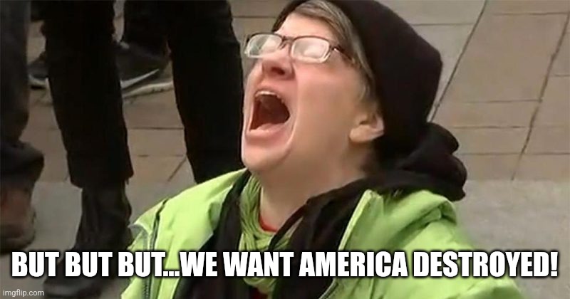 crying liberal | BUT BUT BUT...WE WANT AMERICA DESTROYED! | image tagged in crying liberal | made w/ Imgflip meme maker