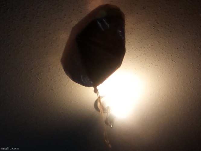 This balloon is STILL FLOATING FOR FUCKS SAKES | made w/ Imgflip meme maker