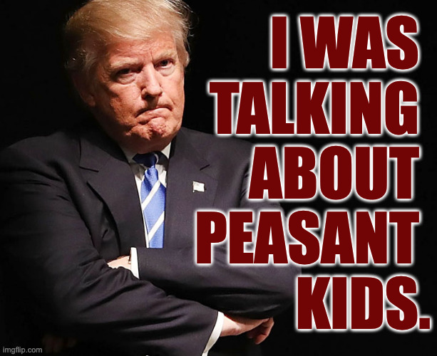 I WAS 
TALKING 
ABOUT 
PEASANT 
KIDS. | made w/ Imgflip meme maker