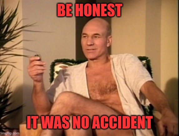 Sexual picard | BE HONEST IT WAS NO ACCIDENT | image tagged in sexual picard | made w/ Imgflip meme maker