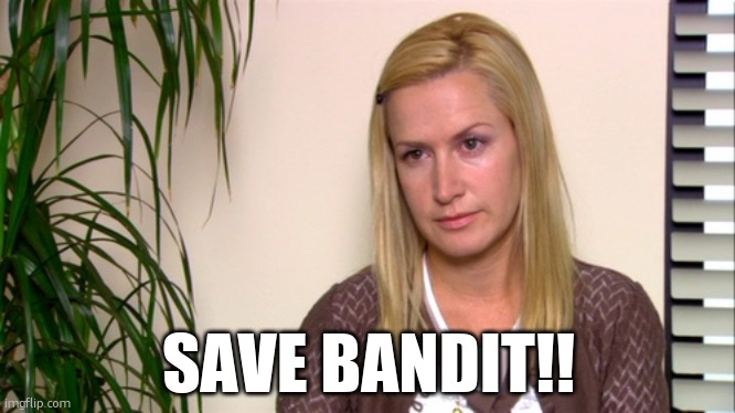 Angela the office | SAVE BANDIT!! | image tagged in angela the office | made w/ Imgflip meme maker