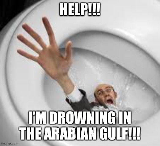 HELP!!! I’M DROWNING IN THE ARABIAN GULF!!! | image tagged in memes,toilet,arabian gulf,drowning,iran,persian gulf | made w/ Imgflip meme maker