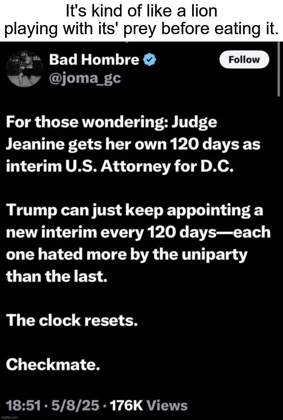 Interim Appointments: It's kind of like a lion playing with its' prey before eating it. | image tagged in playing with your food,chess,checkmate,triggering liberals,sjw triggered,donald trump approves | made w/ Imgflip meme maker