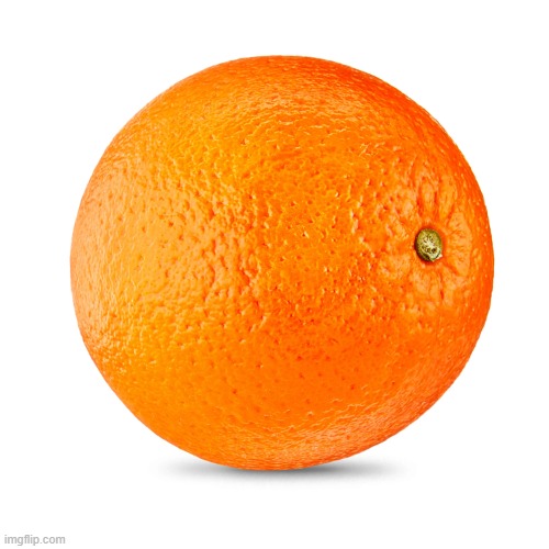 Orange | image tagged in orange | made w/ Imgflip meme maker