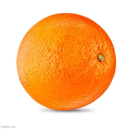 Orange | image tagged in orange | made w/ Imgflip meme maker