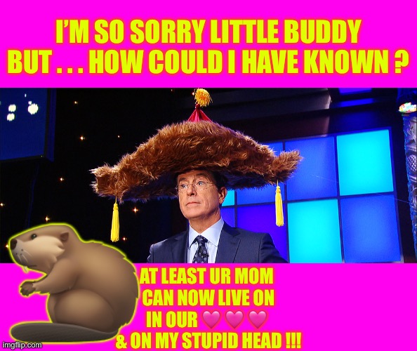 HAPPY  MOTHERS  DAY  / / /  SORTA !!! | I’M SO SORRY LITTLE BUDDY
BUT . . . HOW COULD I HAVE KNOWN ? 🦫; AT LEAST UR MOM 
CAN NOW LIVE ON
IN OUR 🩷 🩷 🩷 
& ON MY STUPID HEAD !!! | image tagged in steven colbert furry hat | made w/ Imgflip meme maker