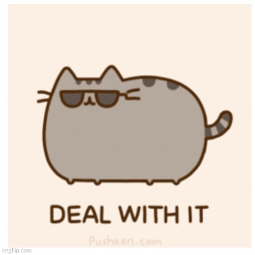 Pusheen Deal With It | image tagged in pusheen deal with it | made w/ Imgflip meme maker