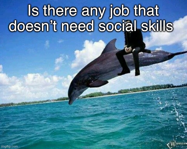 What the hell | Is there any job that doesn’t need social skills | image tagged in what the hell | made w/ Imgflip meme maker