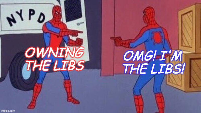 spiderman pointing at spiderman | OWNING THE LIBS OMG! I'M
THE LIBS! | image tagged in spiderman pointing at spiderman | made w/ Imgflip meme maker