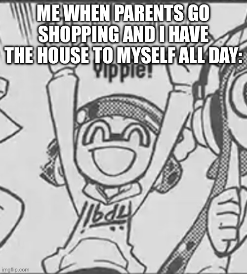 It’s the best feeling ever. | ME WHEN PARENTS GO SHOPPING AND I HAVE THE HOUSE TO MYSELF ALL DAY: | image tagged in yippie bobble hat,meme,yippie | made w/ Imgflip meme maker
