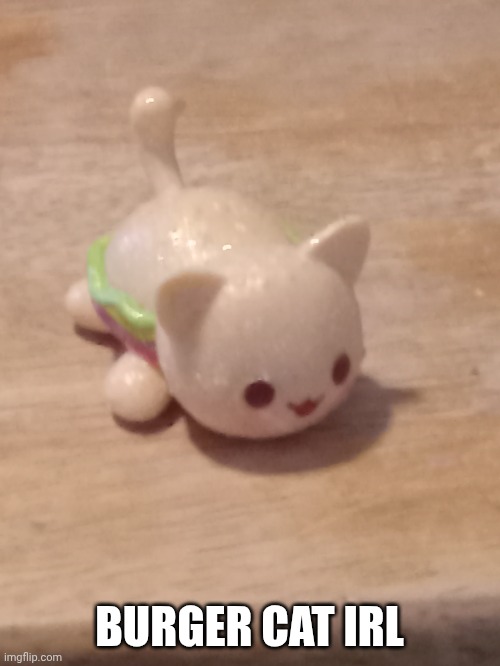 BURGER CAT IRL | made w/ Imgflip meme maker