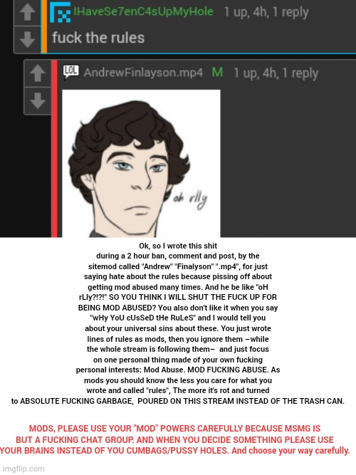 remember I'm not trying to start a war or drama ts way | Ok, so I wrote this shit during a 2 hour ban, comment and post, by the sitemod called "Andrew" "Finalyson" ".mp4", for just saying hate about the rules because pissing off about getting mod abused many times. And he be like "oH rLly?!?!" SO YOU THINK I WILL SHUT THE FUCK UP FOR BEING MOD ABUSED? You also don't like it when you say "wHy YoU cUsSeD tHe RuLeS" and I would tell you about your universal sins about these. You just wrote lines of rules as mods, then you ignore them –while the whole stream is following them–  and just focus on one personal thing made of your own fucking personal interests: Mod Abuse. MOD FUCKING ABUSE. As mods you should know the less you care for what you wrote and called "rules", The more it's rot and turned to ABSOLUTE FUCKING GARBAGE,  POURED ON THIS STREAM INSTEAD OF THE TRASH CAN. MODS, PLEASE USE YOUR "MOD" POWERS CAREFULLY BECAUSE MSMG IS BUT A FUCKING CHAT GROUP. AND WHEN YOU DECIDE SOMETHING PLEASE USE YOUR BRAINS INSTEAD OF YOU CUMBAGS/PUSSY HOLES. And choose your way carefully. | made w/ Imgflip meme maker