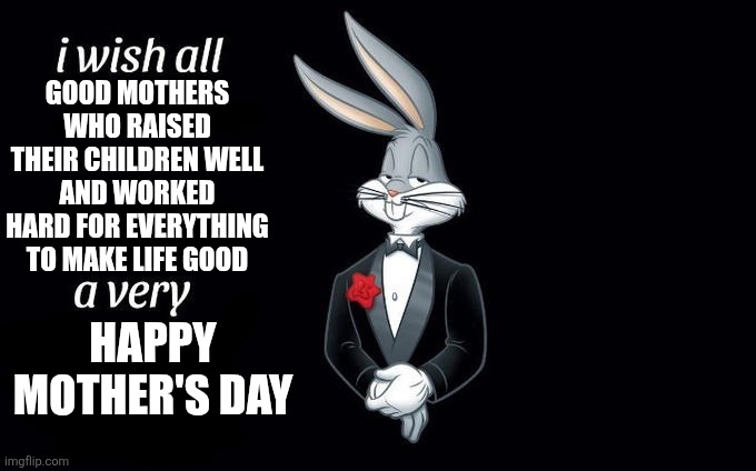 To all the good mothers | GOOD MOTHERS WHO RAISED THEIR CHILDREN WELL AND WORKED HARD FOR EVERYTHING TO MAKE LIFE GOOD; HAPPY MOTHER'S DAY | image tagged in i wish all x a very y,mothers day | made w/ Imgflip meme maker