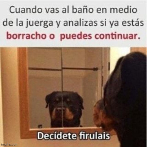9tjg5z.jpg