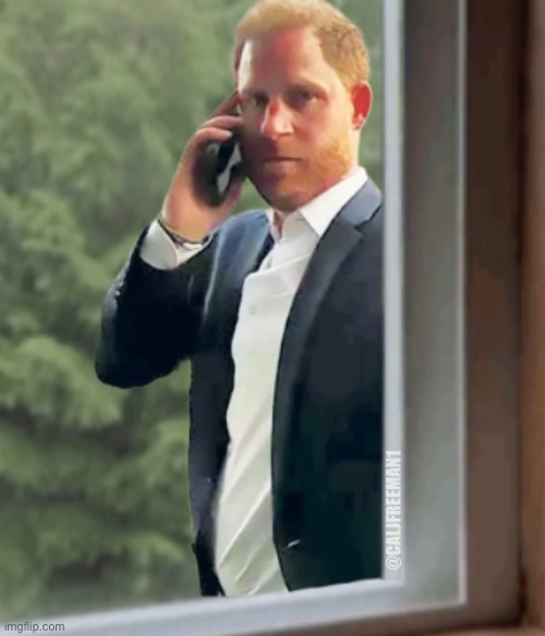 Prince Harry at the window | @CALJFREEMAN1 | image tagged in prince harry,prince charles,royal family,maga,mark zuckerberg blank sign,peeping tom | made w/ Imgflip meme maker