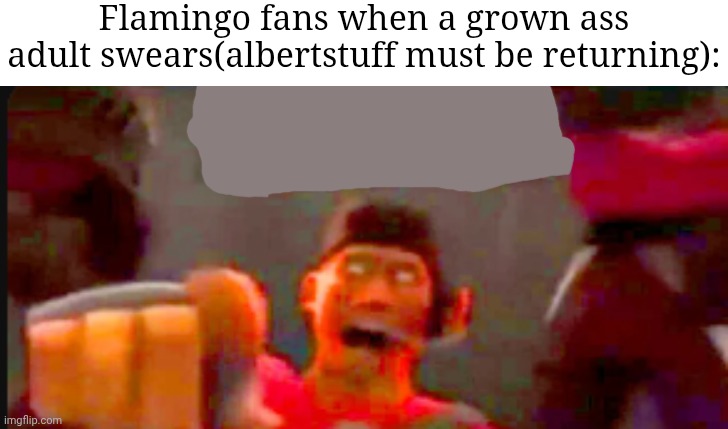 He's literally 27 years old, why can't he swpre for once without his fans screaming "ALBERTSTUFF IS BACK" | Flamingo fans when a grown ass adult swears(albertstuff must be returning): | image tagged in tf2 scout pointing,memes,roblox | made w/ Imgflip meme maker