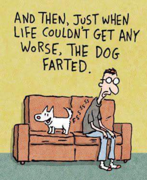 The Dog Farted | image tagged in dogs,funny dog memes,farted,life sucks,hilarious,comics | made w/ Imgflip meme maker