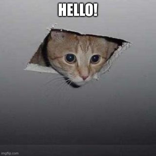 Ceiling Cat Meme | HELLO! | image tagged in memes,ceiling cat | made w/ Imgflip meme maker