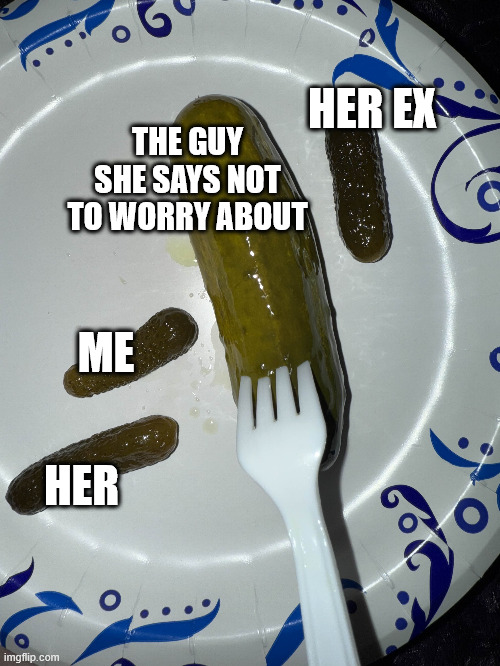 Pickle Meme WHAT | HER EX; THE GUY SHE SAYS NOT TO WORRY ABOUT; ME; HER | image tagged in pickle,d,meme,funny,lol,kekw | made w/ Imgflip meme maker