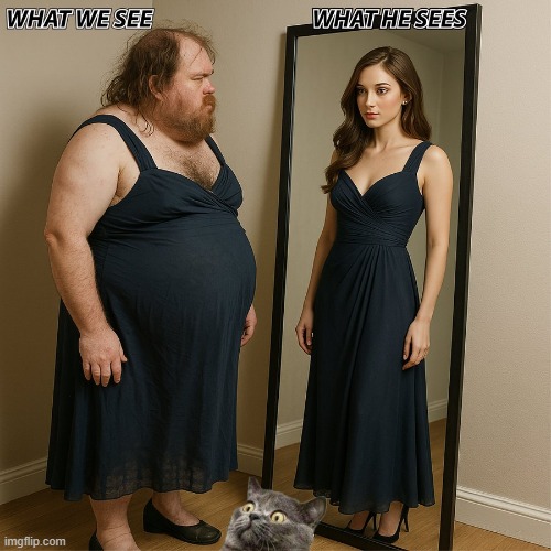 Image Flip | image tagged in men and women,difference between men and women,him her,pronouns,mental health,mental illness | made w/ Imgflip meme maker