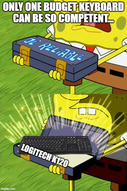daily driving one rn | ONLY ONE BUDGET KEYBOARD CAN BE SO COMPETENT... LOGITECH K120 | image tagged in ol' reliable,logitech,keyboard,budget,pc gaming | made w/ Imgflip meme maker