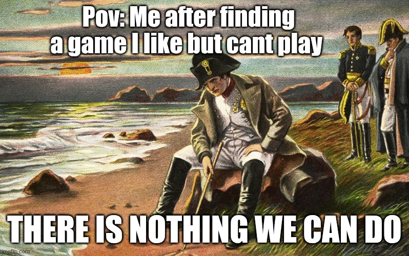 Napoleon | Pov: Me after finding a game I like but cant play; THERE IS NOTHING WE CAN DO | image tagged in napoleon | made w/ Imgflip meme maker