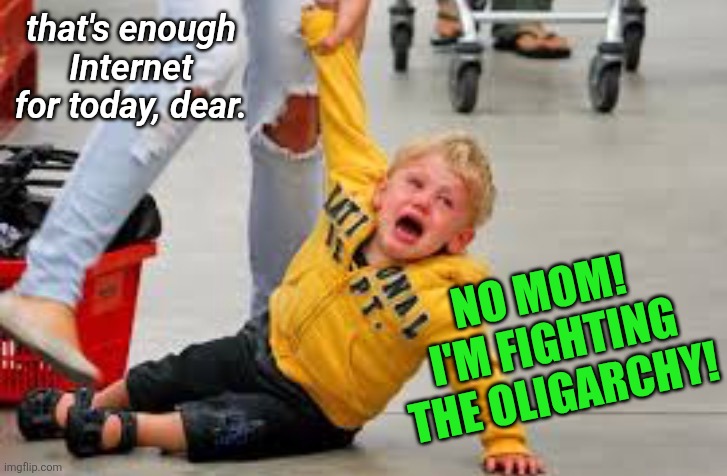 Tantrum store | that's enough Internet for today, dear. NO MOM!  I'M FIGHTING THE OLIGARCHY! | image tagged in tantrum store | made w/ Imgflip meme maker