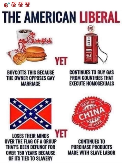 Everything With Them Is Hypocritical | image tagged in liberal logic,liberal hypocrisy,libtard,hypocrites,entitlement,narcissistic behavior | made w/ Imgflip meme maker