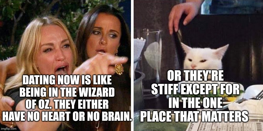 Smudge that darn cat with Karen | OR THEY'RE STIFF EXCEPT FOR IN THE ONE PLACE THAT MATTERS; DATING NOW IS LIKE BEING IN THE WIZARD OF OZ. THEY EITHER HAVE NO HEART OR NO BRAIN. | image tagged in smudge that darn cat with karen | made w/ Imgflip meme maker