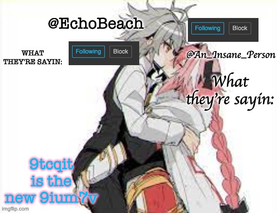 EchoBeach and InsanePerson shared temp :3 | 9tcqit is the new 9ium7v | image tagged in echobeach and insaneperson shared temp 3 | made w/ Imgflip meme maker