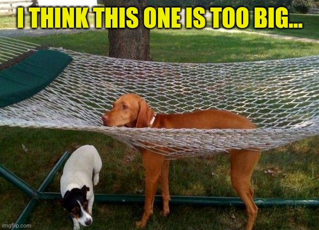 I THINK THIS ONE IS TOO BIG... | made w/ Imgflip meme maker