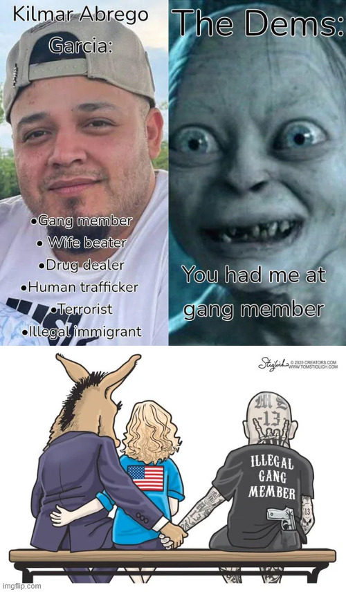 Dems chosing illegal alien criminals over America | image tagged in dems,hate,america | made w/ Imgflip meme maker