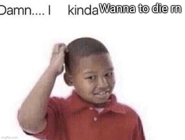 Damn I kinda don’t meme | Wanna to die rn | image tagged in damn i kinda don t meme | made w/ Imgflip meme maker