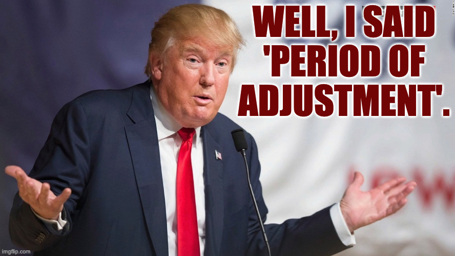 Trump shrug | WELL, I SAID
'PERIOD OF
ADJUSTMENT'. | image tagged in trump shrug | made w/ Imgflip meme maker