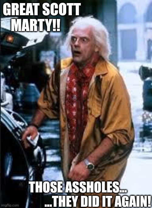 Back to the future | GREAT SCOTT 
   MARTY!! THOSE ASSHOLES...          
 ...THEY DID IT AGAIN! | image tagged in they did it again,those idiots | made w/ Imgflip meme maker