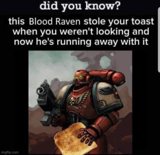 This blood raven stole your toast | image tagged in this blood raven stole your toast | made w/ Imgflip meme maker