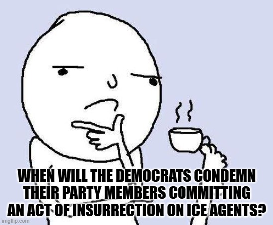 One was arrested but is already out on bail. Must be nice when you're above the law. | WHEN WILL THE DEMOCRATS CONDEMN THEIR PARTY MEMBERS COMMITTING AN ACT OF INSURRECTION ON ICE AGENTS? | image tagged in thinking meme,ice,insurrection,maga,democrats | made w/ Imgflip meme maker