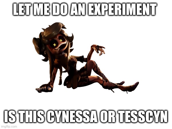 Dunno | LET ME DO AN EXPERIMENT; IS THIS CYNESSA OR TESSCYN | made w/ Imgflip meme maker