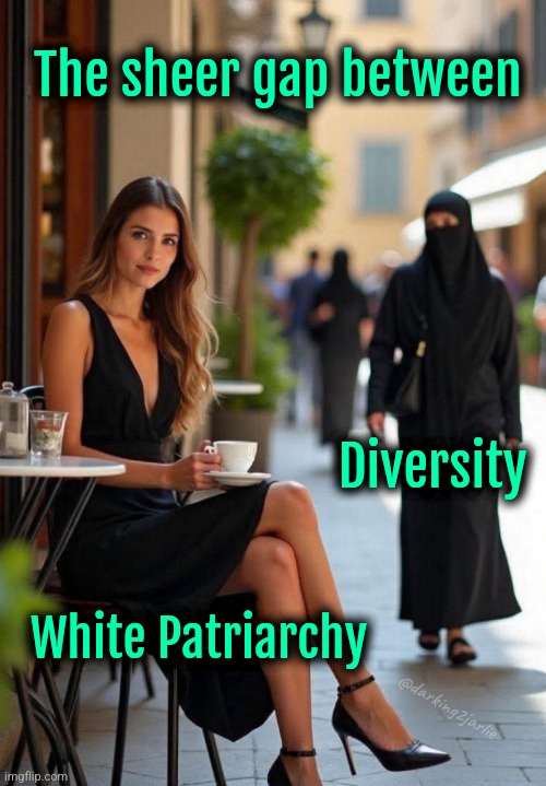 There's a reason I'm Evil Far-Right. Remember Comrades Diversity is our Strength! | The sheer gap between; Diversity; White Patriarchy; @darking2jarlie | image tagged in islam,europe,liberal logic,liberal hypocrisy,socialism,feminism | made w/ Imgflip meme maker