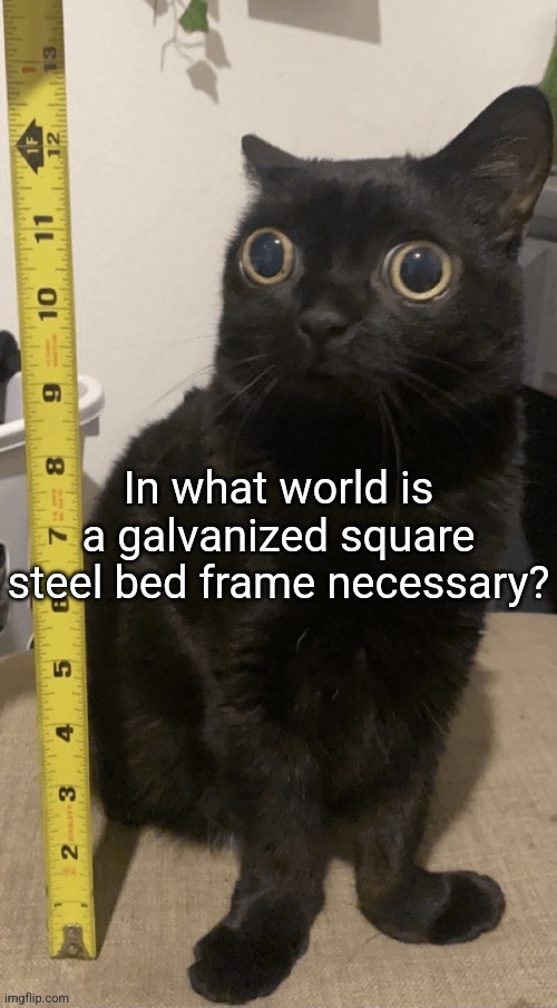 H | In what world is a galvanized square steel bed frame necessary? | image tagged in h | made w/ Imgflip meme maker