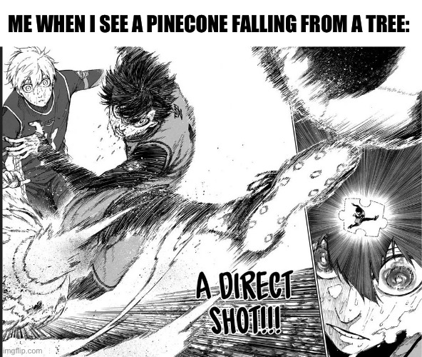 Hit the pinecone mid-air | ME WHEN I SEE A PINECONE FALLING FROM A TREE: | image tagged in isagi,blue lock,soccer,football | made w/ Imgflip meme maker
