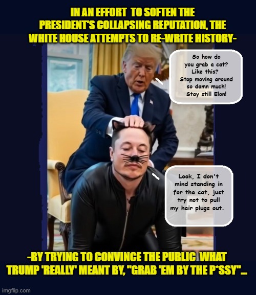 Your Tax Dollars At Work.... | IN AN EFFORT  TO SOFTEN THE PRESIDENT'S COLLAPSING REPUTATION, THE WHITE HOUSE ATTEMPTS TO RE-WRITE HISTORY-; So how do you grab a cat? Like this?  Stop moving around so damn much! Stay still Elon! Look, I don't mind standing in for the cat, just try not to pull my hair plugs out. -BY TRYING TO CONVINCE THE PUBLIC  WHAT TRUMP 'REALLY' MEANT BY, "GRAB 'EM BY THE P*SSY"... | image tagged in impeach trump,government corruption,elon musk,grab them by the pussy,donald trump memes | made w/ Imgflip meme maker