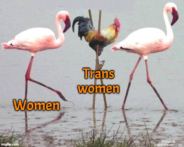 Trying too hard to fit in? Try harder. | Trans
women; Women | image tagged in transgender,gender confusion,women,dark humor | made w/ Imgflip meme maker