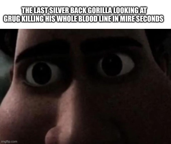 Grug the killer | THE LAST SILVER BACK GORILLA LOOKING AT GRUG KILLING HIS WHOLE BLOOD LINE IN MIRE SECONDS | image tagged in titan stare | made w/ Imgflip meme maker