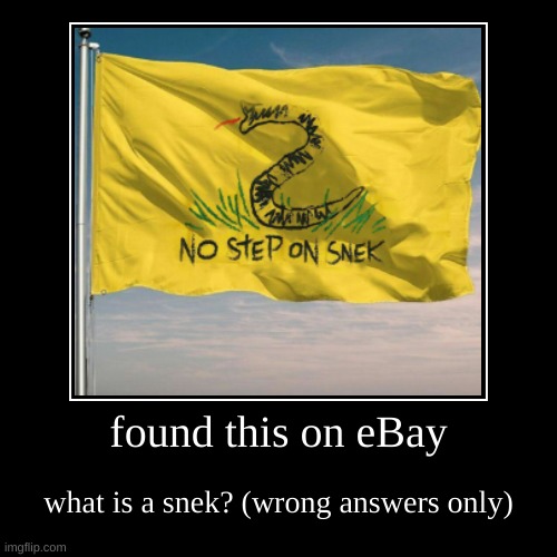found this on eBay | what is a snek? (wrong answers only) | image tagged in funny,demotivationals | made w/ Imgflip demotivational maker