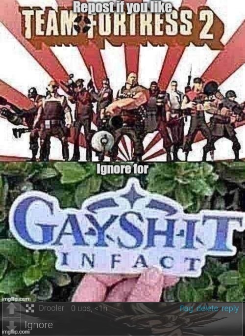 Someone distort this image for me plz | image tagged in repost | made w/ Imgflip meme maker
