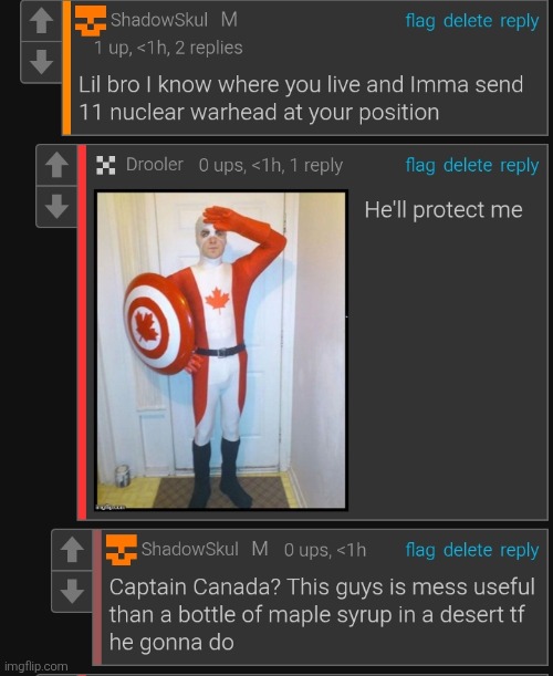 Captain Canada | image tagged in captain canada | made w/ Imgflip meme maker